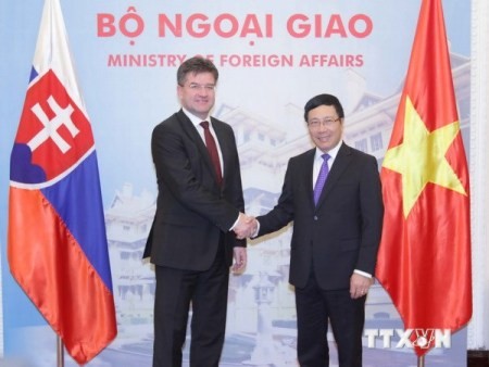 Viceprimer ministro de Eslovaquia inicia visita de trabajo en Vietnam - ảnh 1